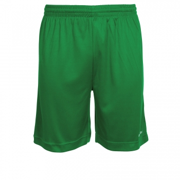Stanno Field Shorts Grün